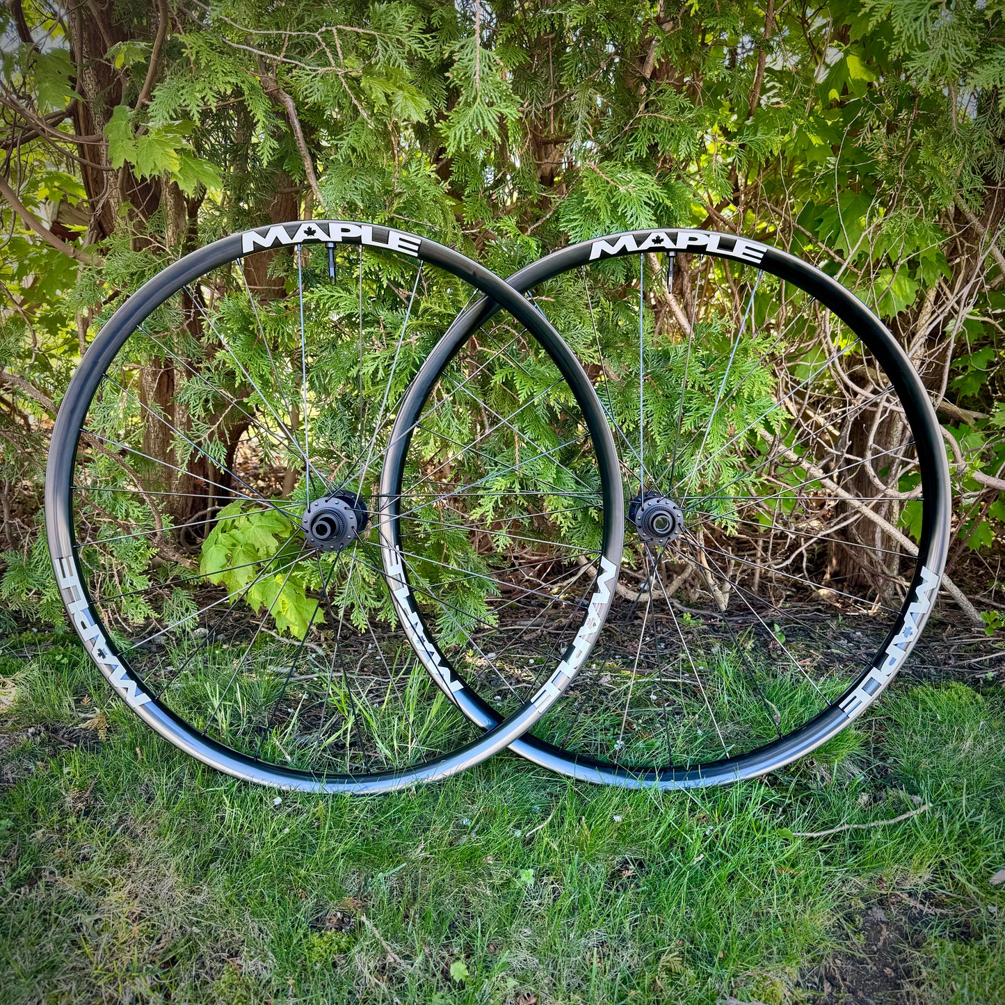 Maple XCR Wheelset