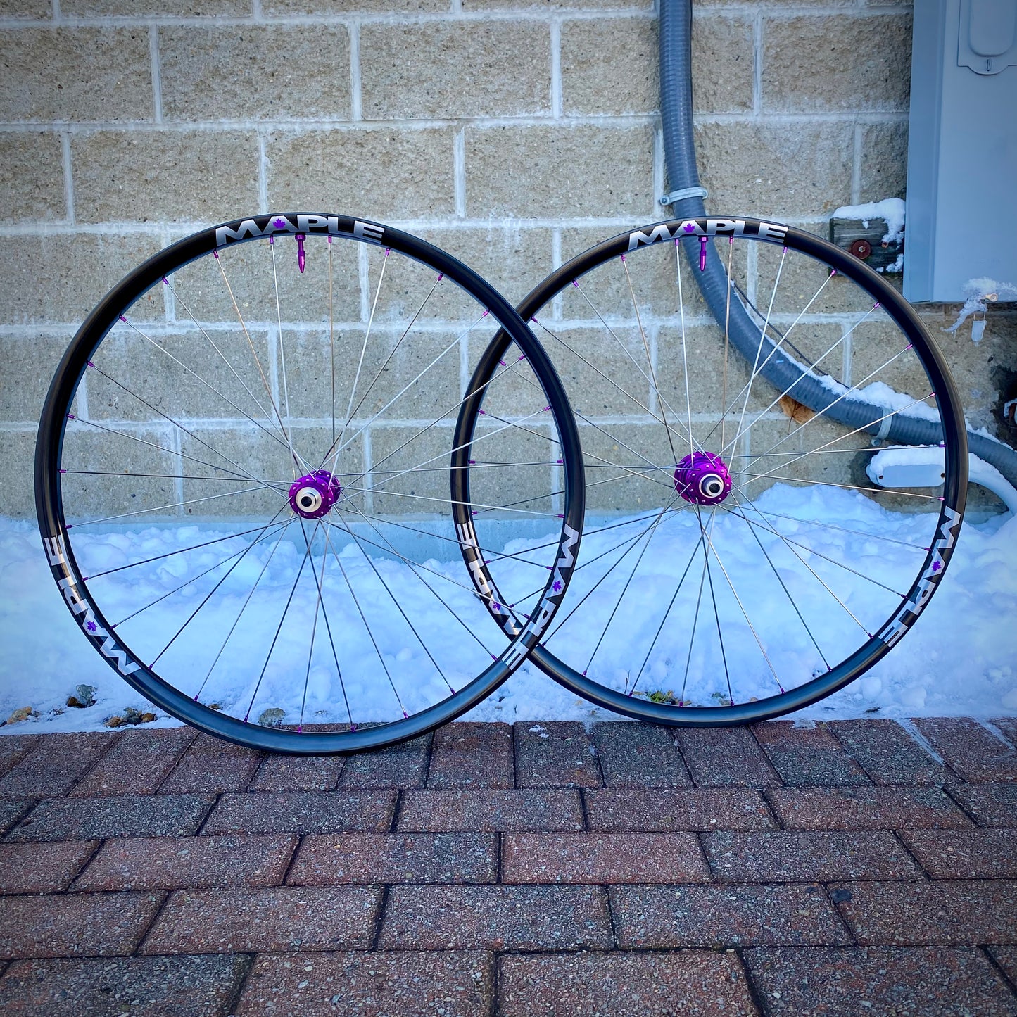 Maple CXG Wheelset