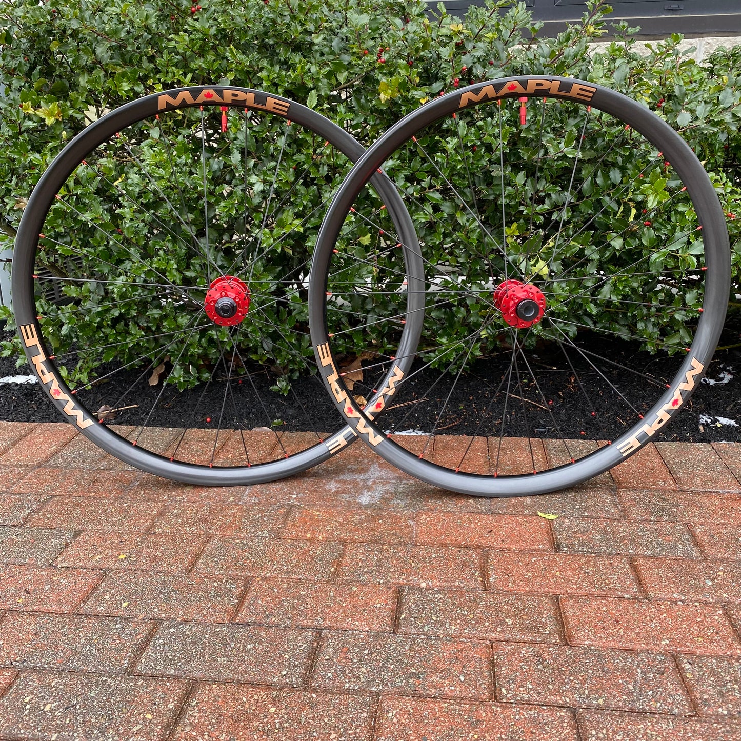 Maple EMP Wheelset