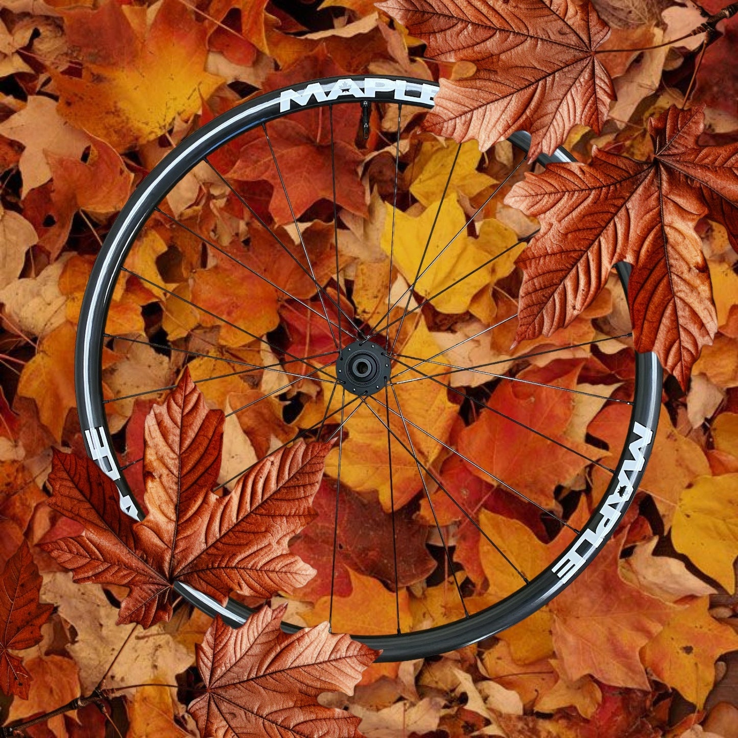 Maple ARX Wheelset - Ride Maple