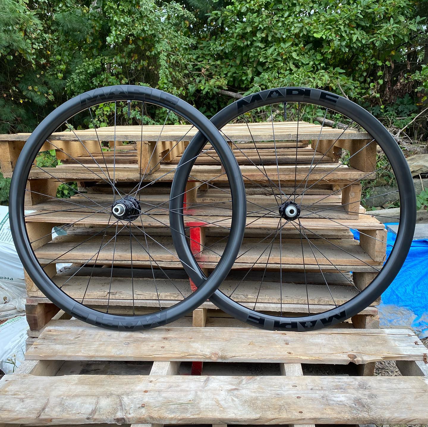 Maple RCX Wheelset - Ride Maple